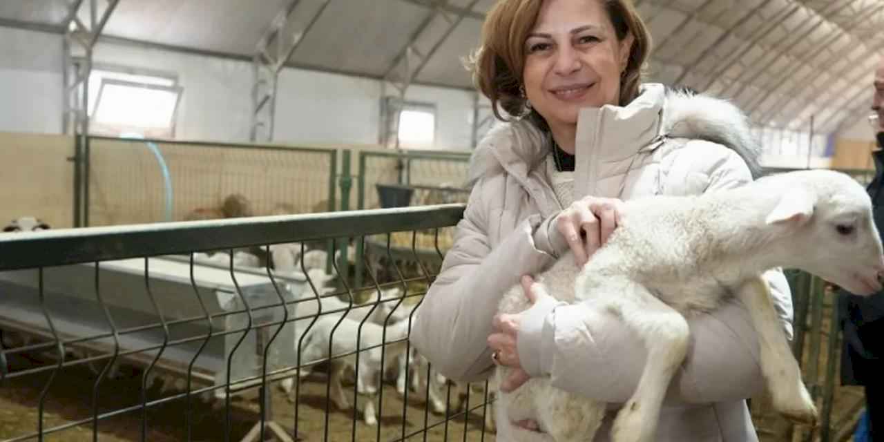 Eskişehir’de üreticilere iki ayrı destek paketi