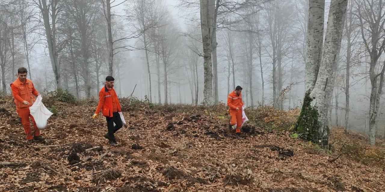 Harmancık’ta Yanan Ormanlara Tohumlar Serpiliyor