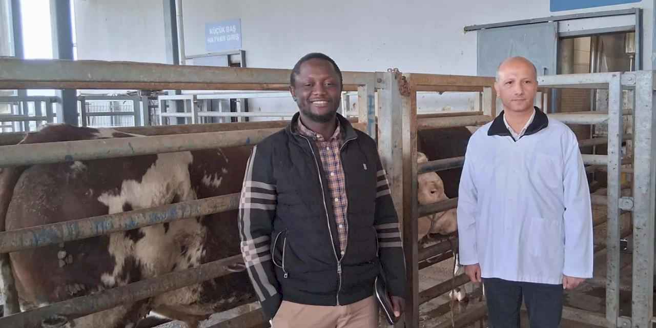 Kocaeli Büyükşehir mezbahasına örnek tesis vurgusu