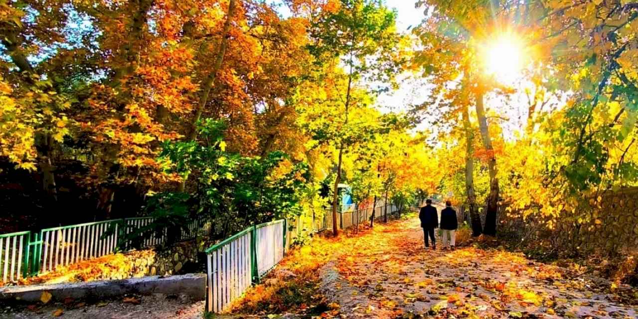 Mardin Yeşilli'de sonbahar büyüsü (Özel Haber)