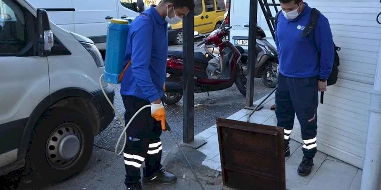 Antalya'da vektörel mücadele çalışmaları sürüyor