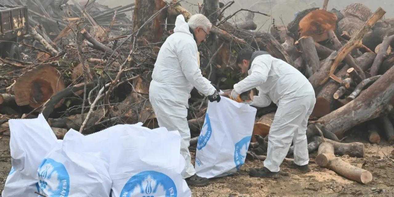 Manisa'da ihtiyaç sahiplerine odun desteği