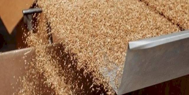 İşte ekonomideki yabancı pay! Yabancı kontrollü girişimde Almanya lider