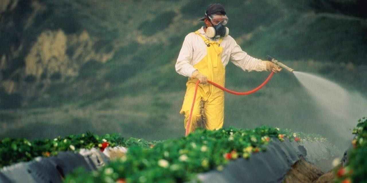 Açıkta satılan bitkilerde ağır metal, pestisit ve yanlış karışım riski uyarısı