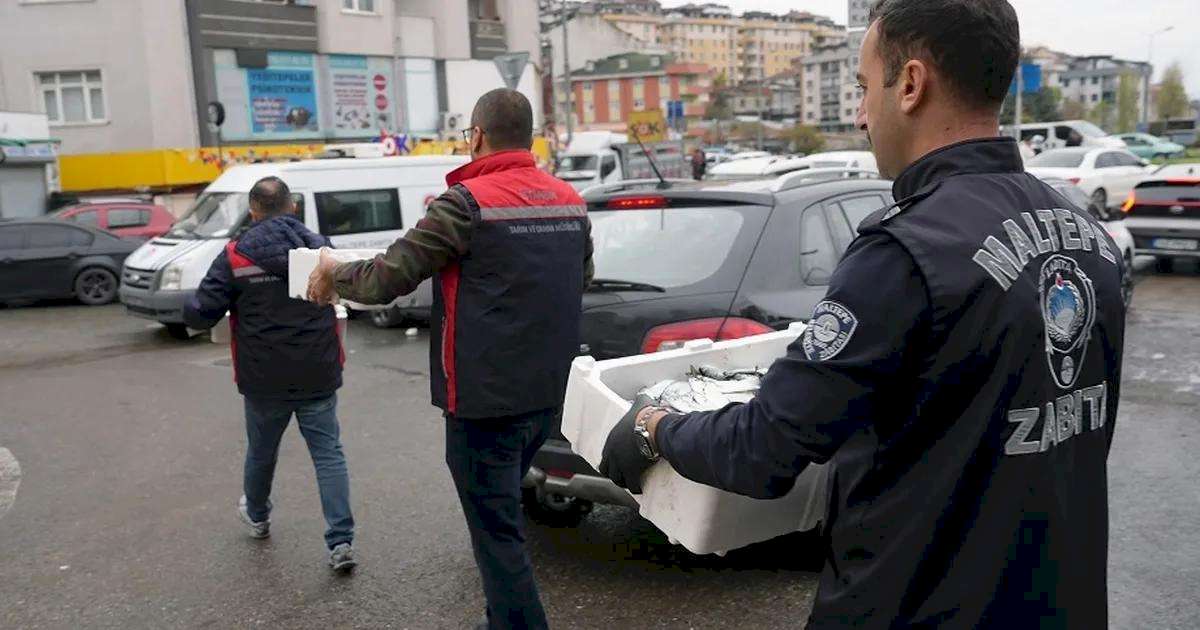 İstanbul Maltepe'de balık denetimi