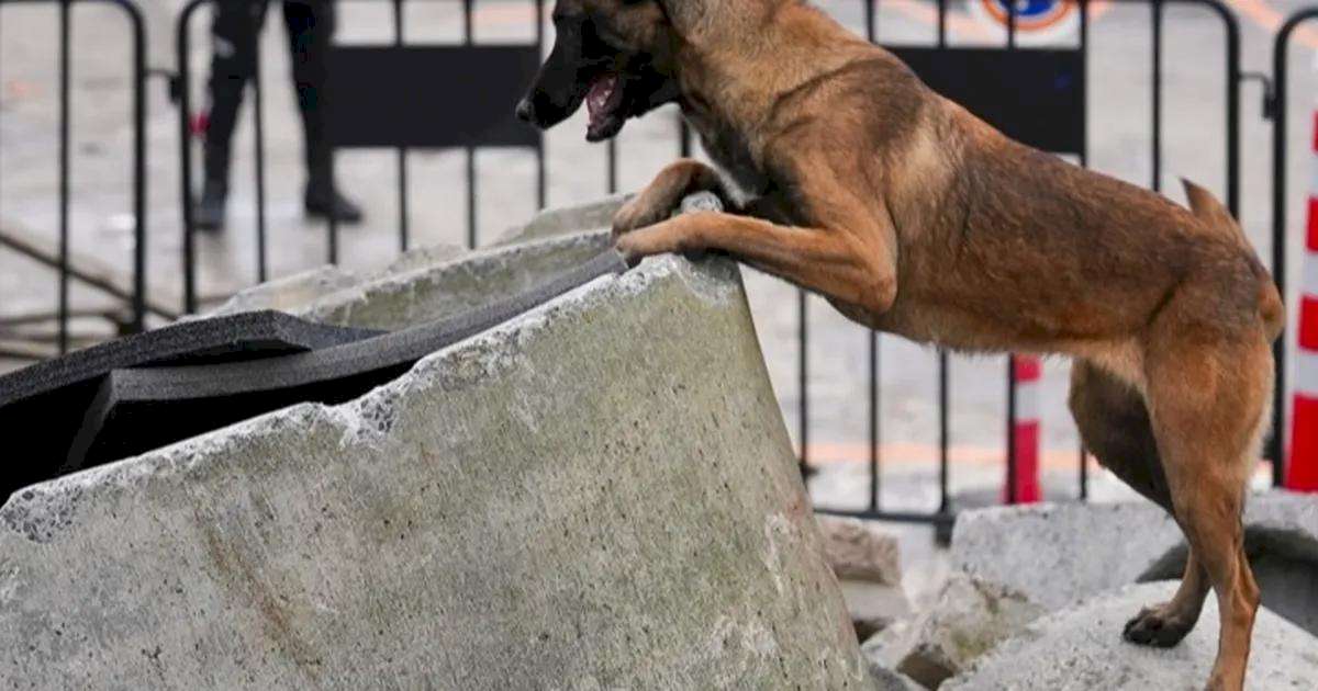 İstanbul Maltepe’nin Zeyna’sı artık ekibin bir parçası
