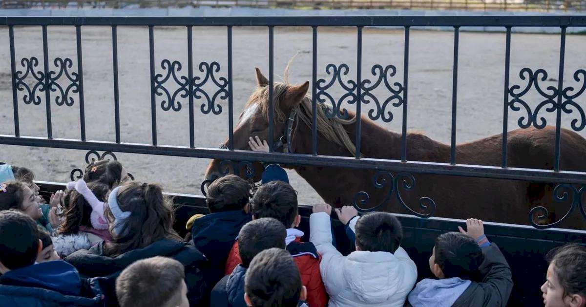 İzmirli çocuklara hayvan sevgisi kazandırılıyor