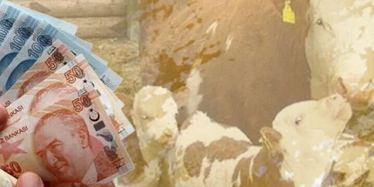 1,46 milyar TL tarımsal destek hesaplarda