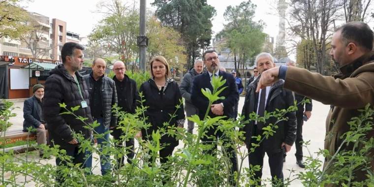 Yeni Cuma Parkı yaz aylarında botanik bahçesine dönüşecek