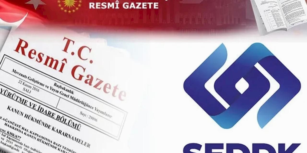 SEDDK'dan üç önemli düzenleme... Sigorta sektöründe finansal raporlama kuralları 2027'ye ertelendi
