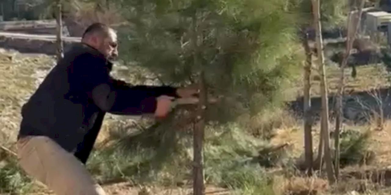 Mardin Artuklu'da muhtar kendi elleriyle ağaçları budadı