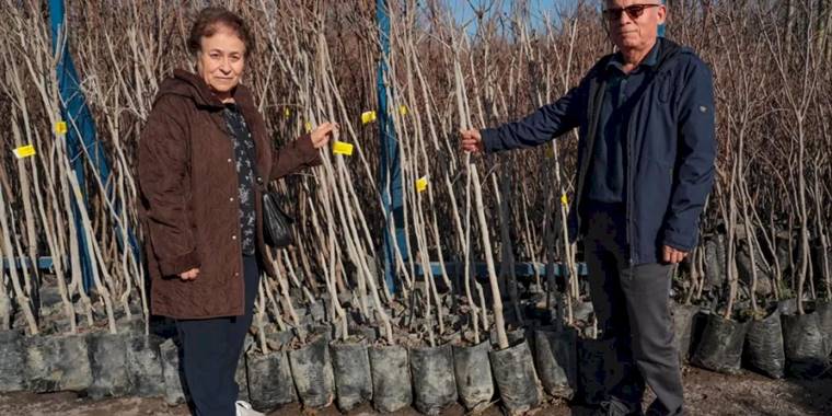 Kocaeli'nin fidan desteği meyvelerini veriyor