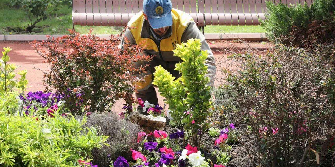 Ankara Keçiören’de seradan parklara uzanan yeşil yolculuk