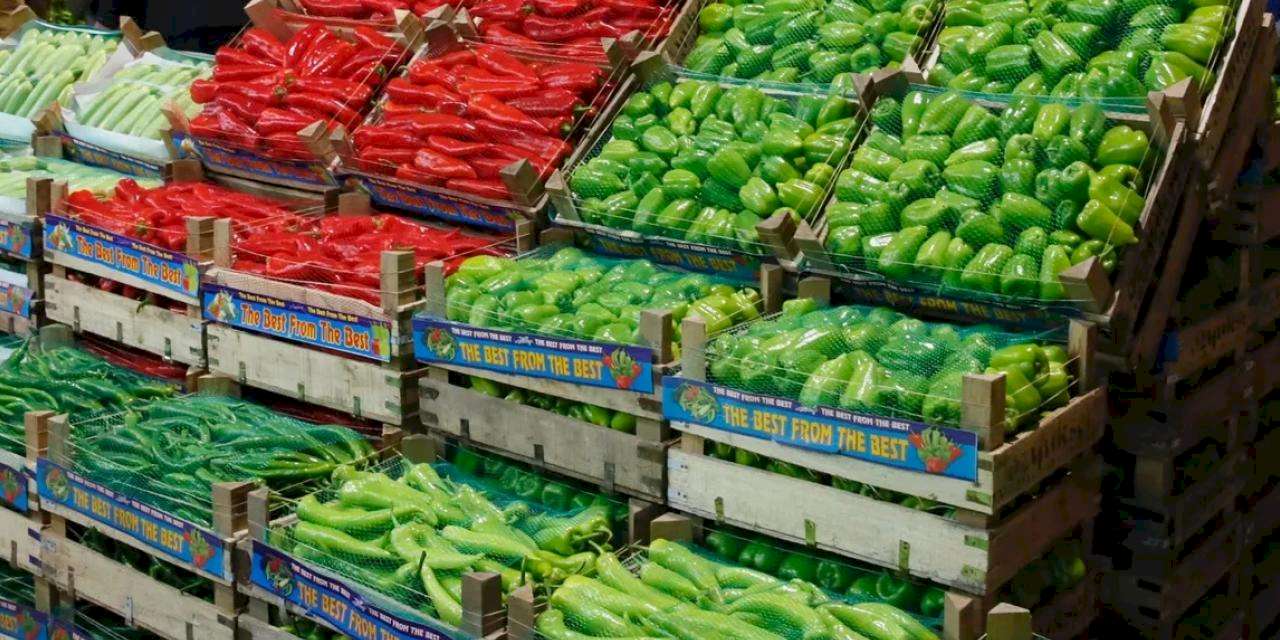 Hal Hakem Heyetleri'ne başvuruda parasal sınırlar güncellendi