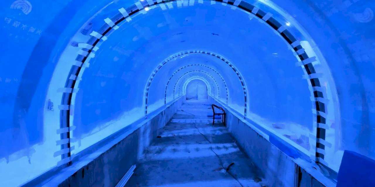 Kocaeli’de su altı dünyası yakında kapılarını açıyor