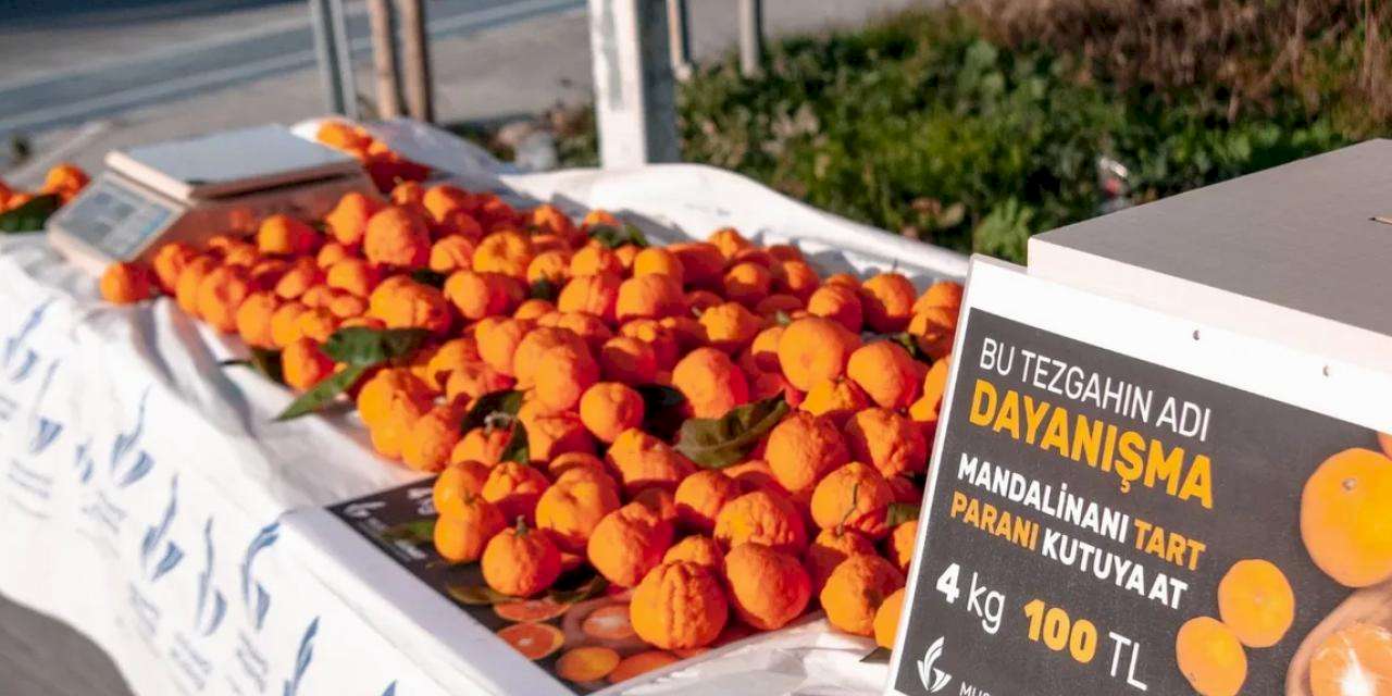 İzmir Güzelbahçe'de güven esaslı dayanışma... Tart ve parasını kutuya at!