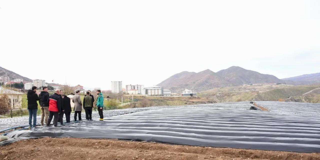 Batman Sason’da çilek üreticilerine ziyaret