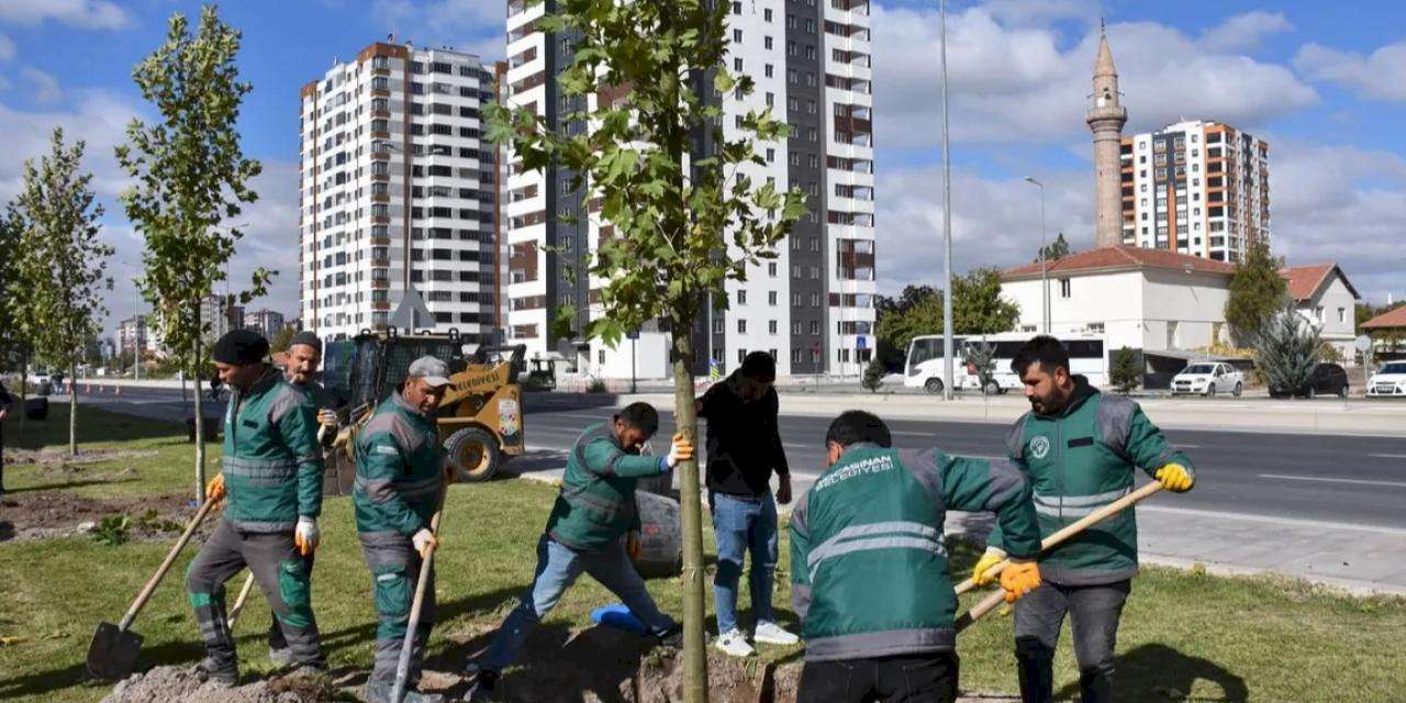 Kayseri Kocasinan şehri oksijen deposuna çevirdi