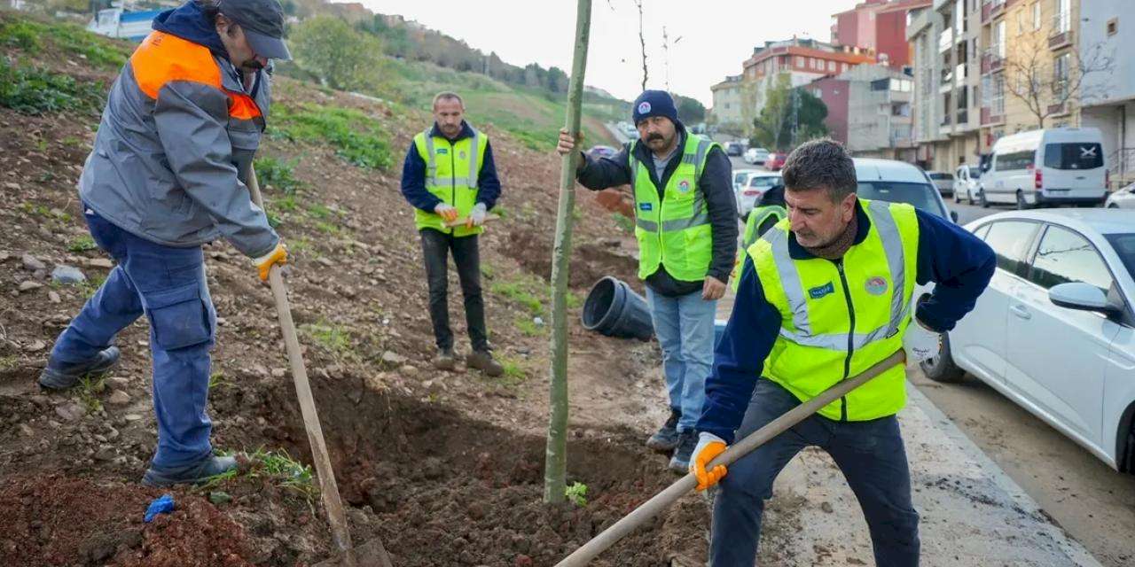 İstanbul Maltepe'de Zümrütevler’in parkları geri dönüşümle yenileniyor