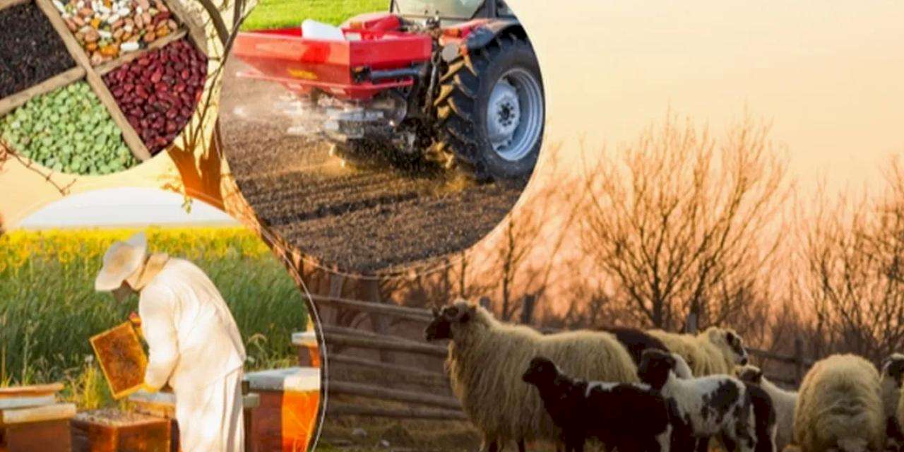 2 milyar TL'lik tarımsal destek hesaplarda