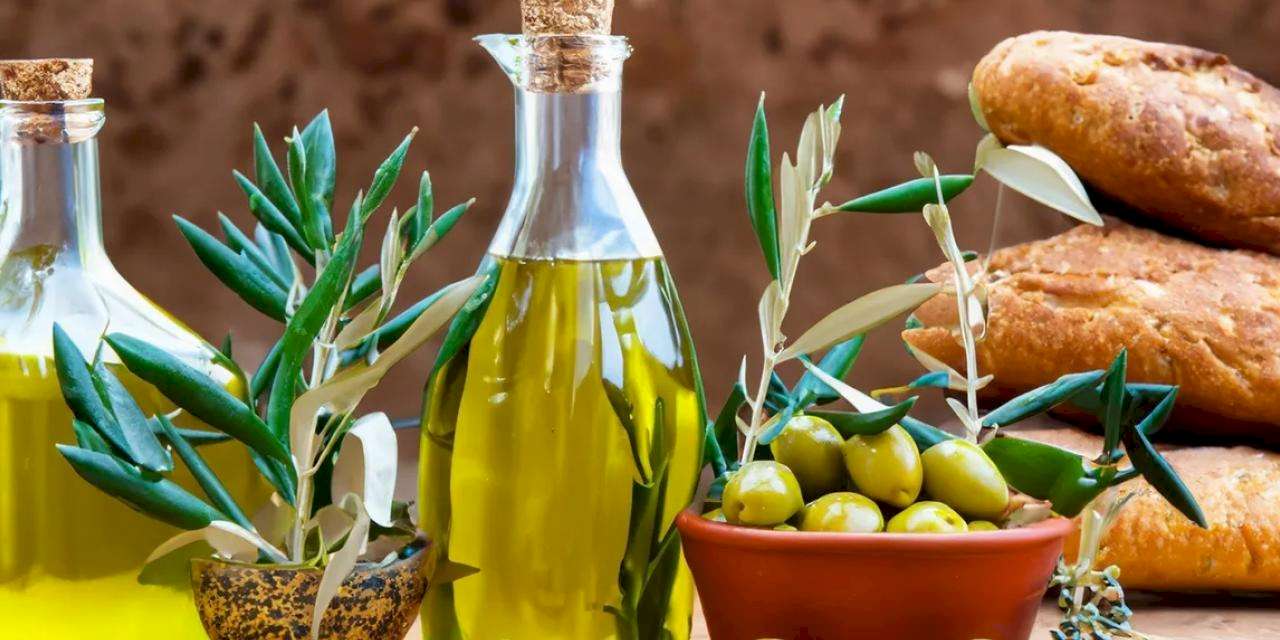 Zeytin ve zeytinyağı sektöründe güçler URGE Projesi'nde birleşiyor