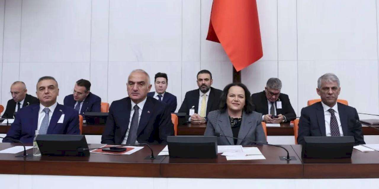 TBMM'de merkezi yönetim bütçesi görüşmeleri sürüyor