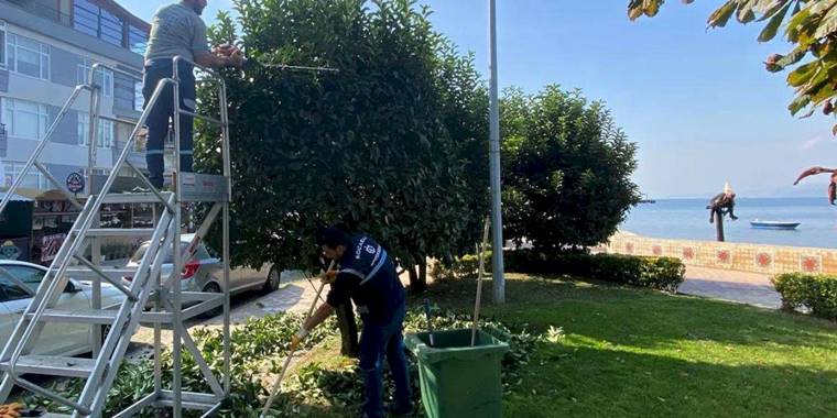 Kocaeli Büyükşehir'den yeşil alanlara özel bakım