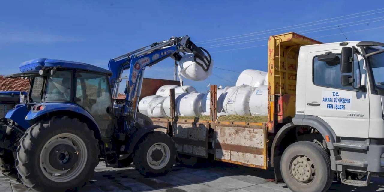 Ankara’da hayvan yetiştiricilerine silaj desteği