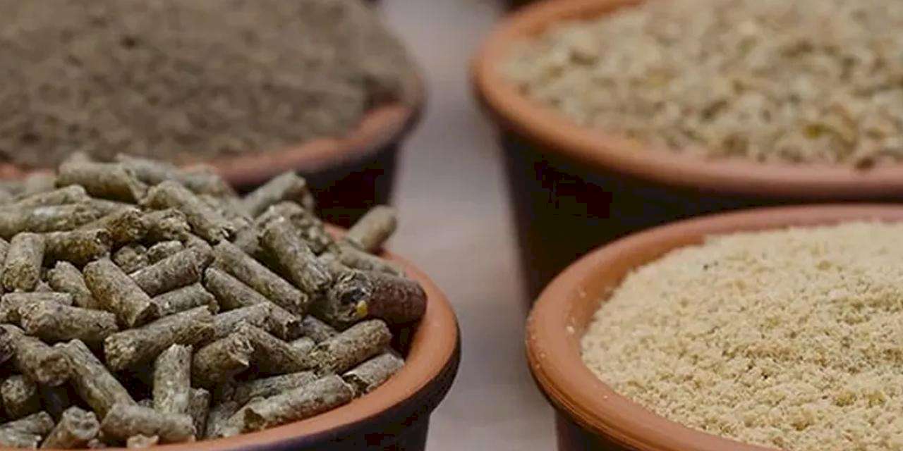 Yem Yönetmeliği'nde değişiklik 'Resmi'leşti... Gıdadan yeme büyük dönüşüm!