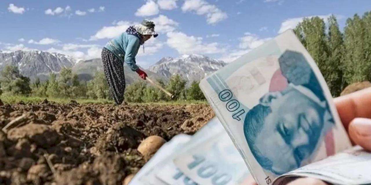 Kooperatiflere 4,5 milyar TL'lik kredi desteği