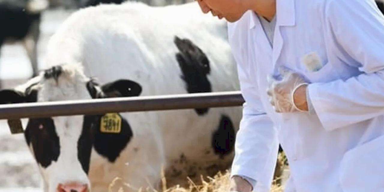 Tarımsal girdiler yüzde 33,66 arttı