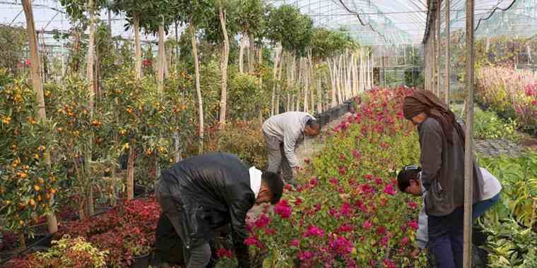 Muğla'dan yerel kalkınmaya 'Büyük' katkı