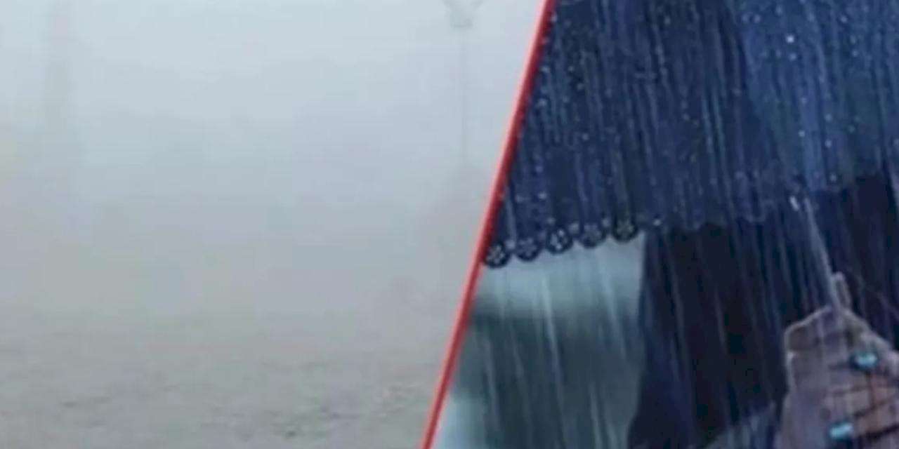 Birçok ilde yağış, iç ve doğuda sis bekleniyor