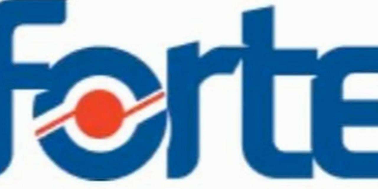 FORTE, E-devlet Hizmetlerini Kapsayan 1,53 Milyar TL Bedelli Bilişim İhalesini Kazandı