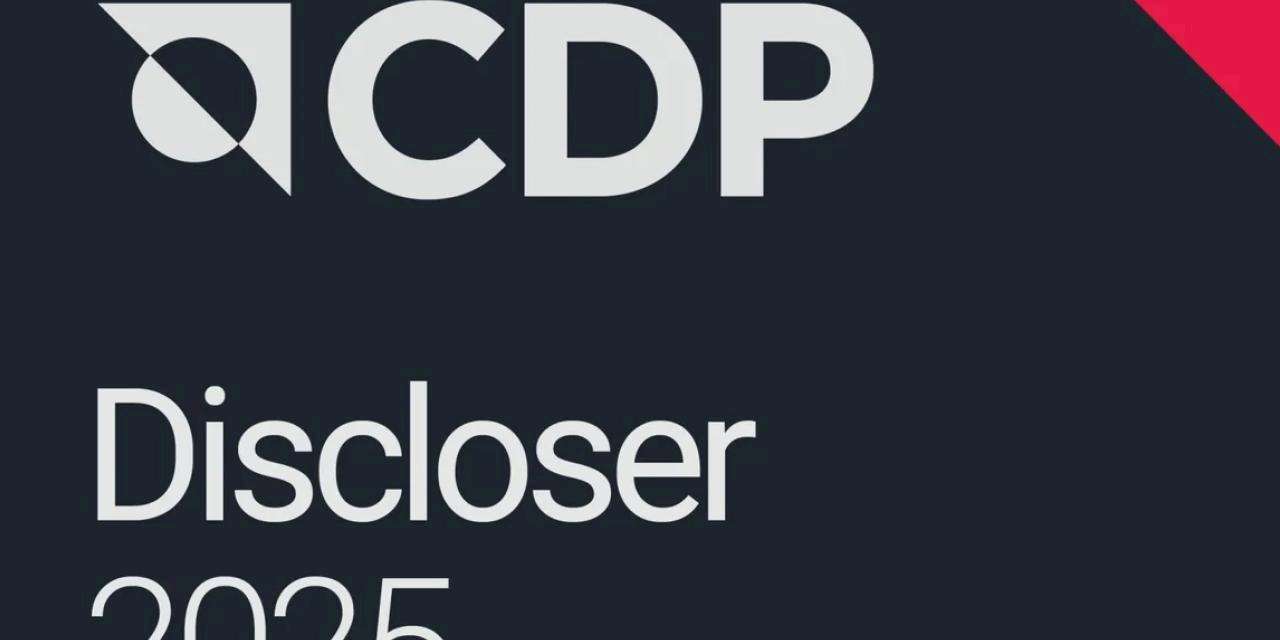 Çolakoğlu Metalurji, CDP’de “Yönetim Seviyesi”nde B Skoru Aldı