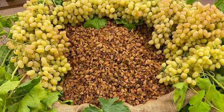 Kuru meyve sektörü 2025'i değerlendirdi