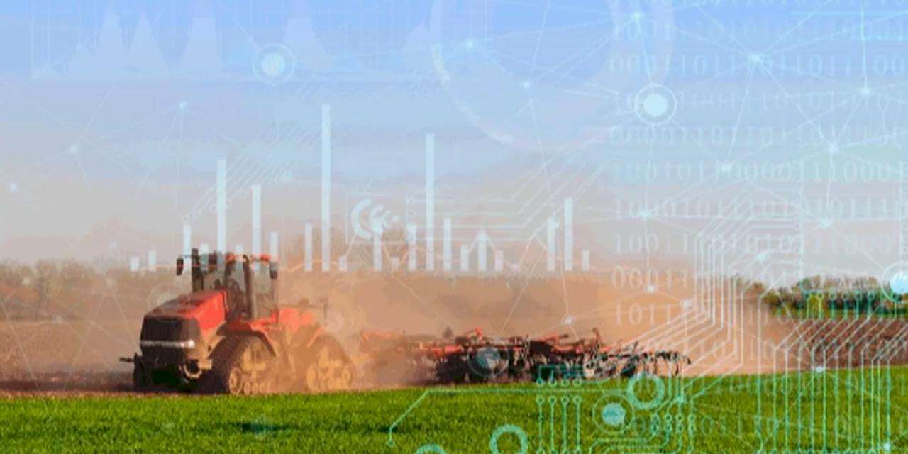 TÜİK 2025 bitkisel üretim verilerini açıkladı... Üretimde genel düşüş yaşandı