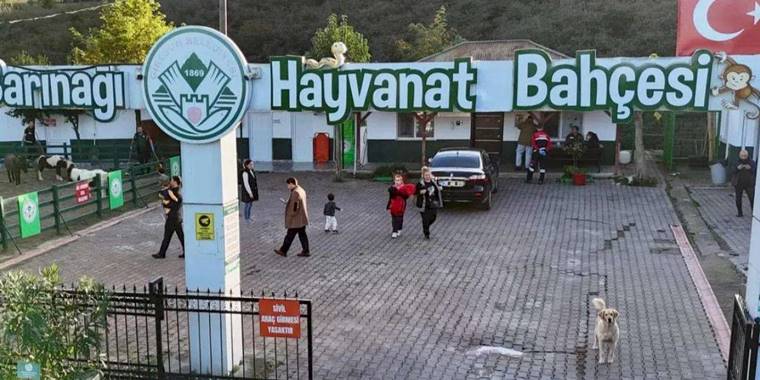 Giresun Hayvan Barınağı 2025’e damga vurdu