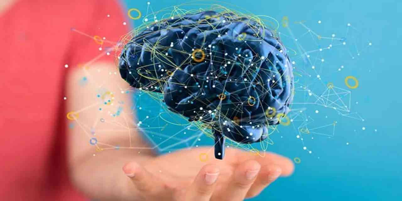 Zihnimizi besinler değil, alışkanlıklar güçlendiriyor!