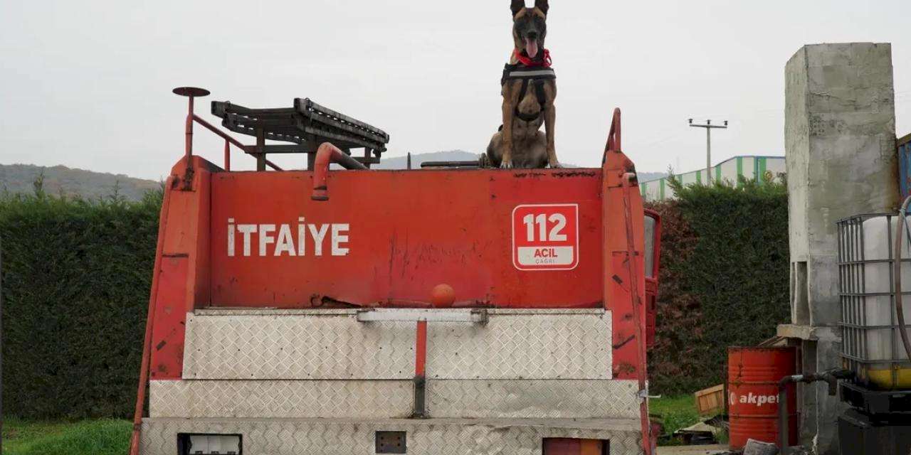 Balıkesir İtfaiyesi’nin yeni kahramanı: K9 köpeği İda