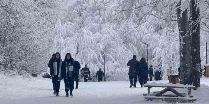 Kocaeli Ormanya, 2025’te de doldu taştı