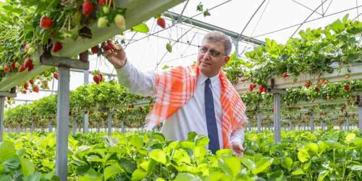 İzmir Büyükşehir’den çiftçiye 550 milyon TL'lik nefes