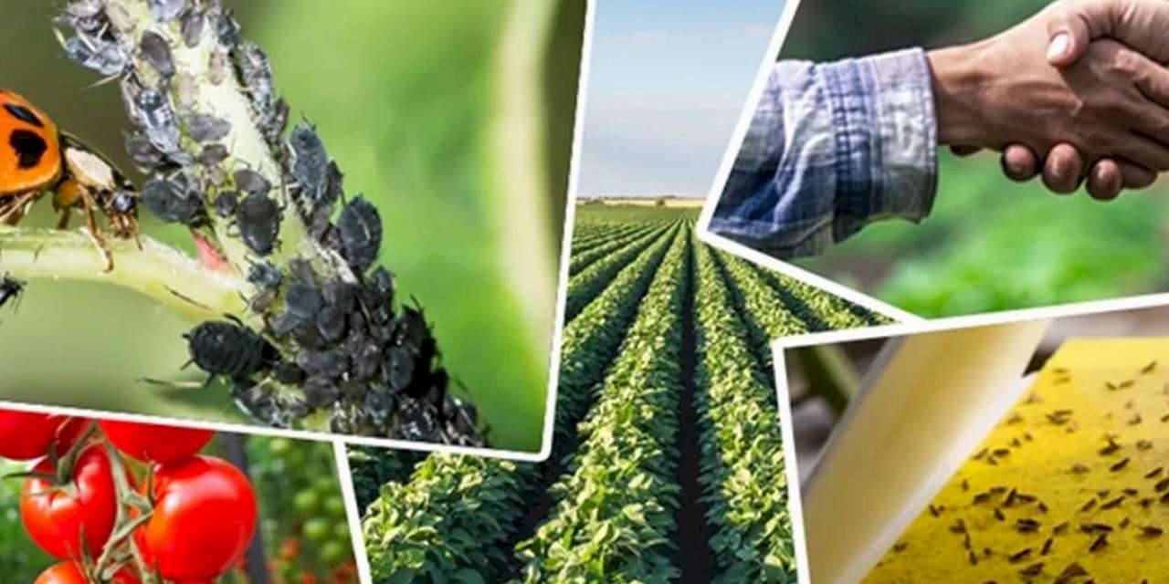 Tarımsal destek ödemelerine ayar