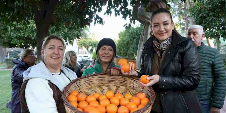 Antalya’nın turunçları kadın emeğiyle sofralara uzanıyor