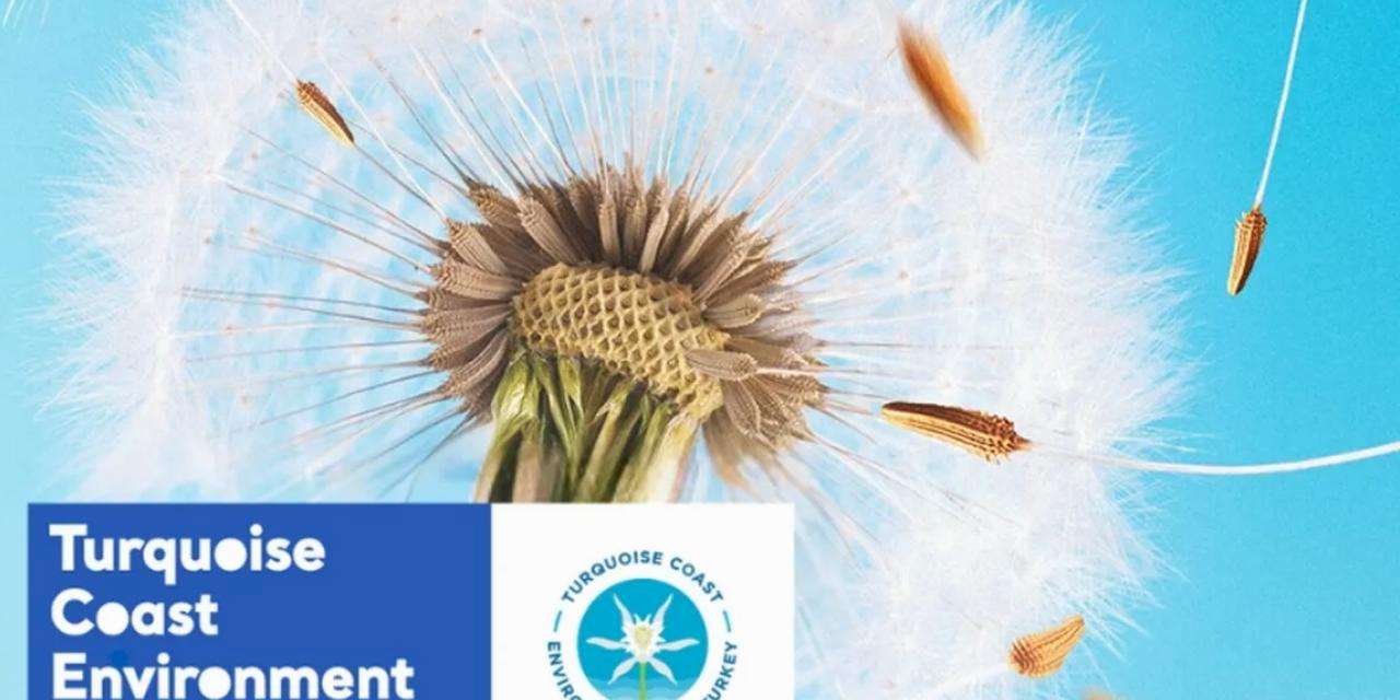 TCEF 2026 Hibe Programı'nda Türkiye'nin güney ve batı kıyılarına destek... Son başvuru 25 Ocak