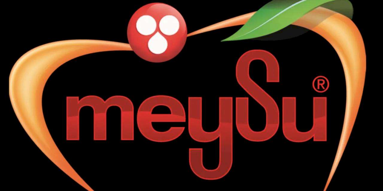 Meysu Halka Arz Oluyor