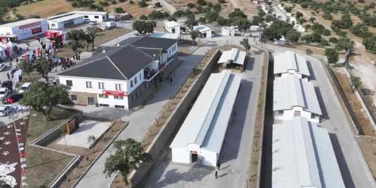 Manisa Şehzadeler'de Sarıalan kapatılıyor, nakil başlıyor