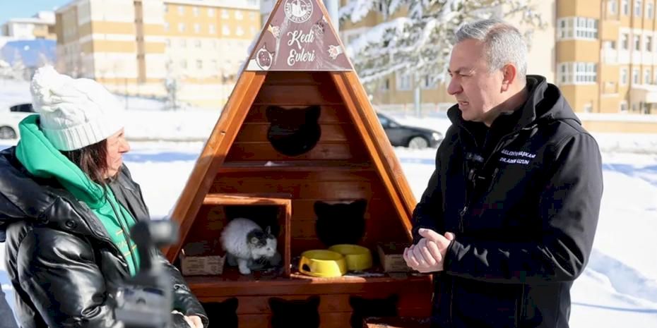 Sivas Belediyesi sessiz dostlarını unutmadı