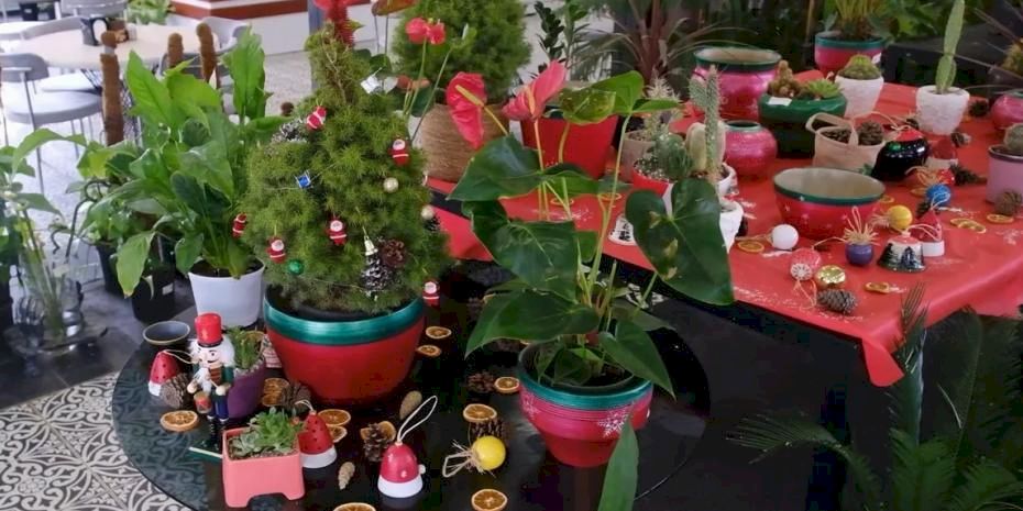 ANFA Bitki Evleri’nde yeni yılın çiçekleri sunuldu