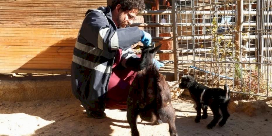 Doğal Yaşam Parkı’nda soğuk alarmı